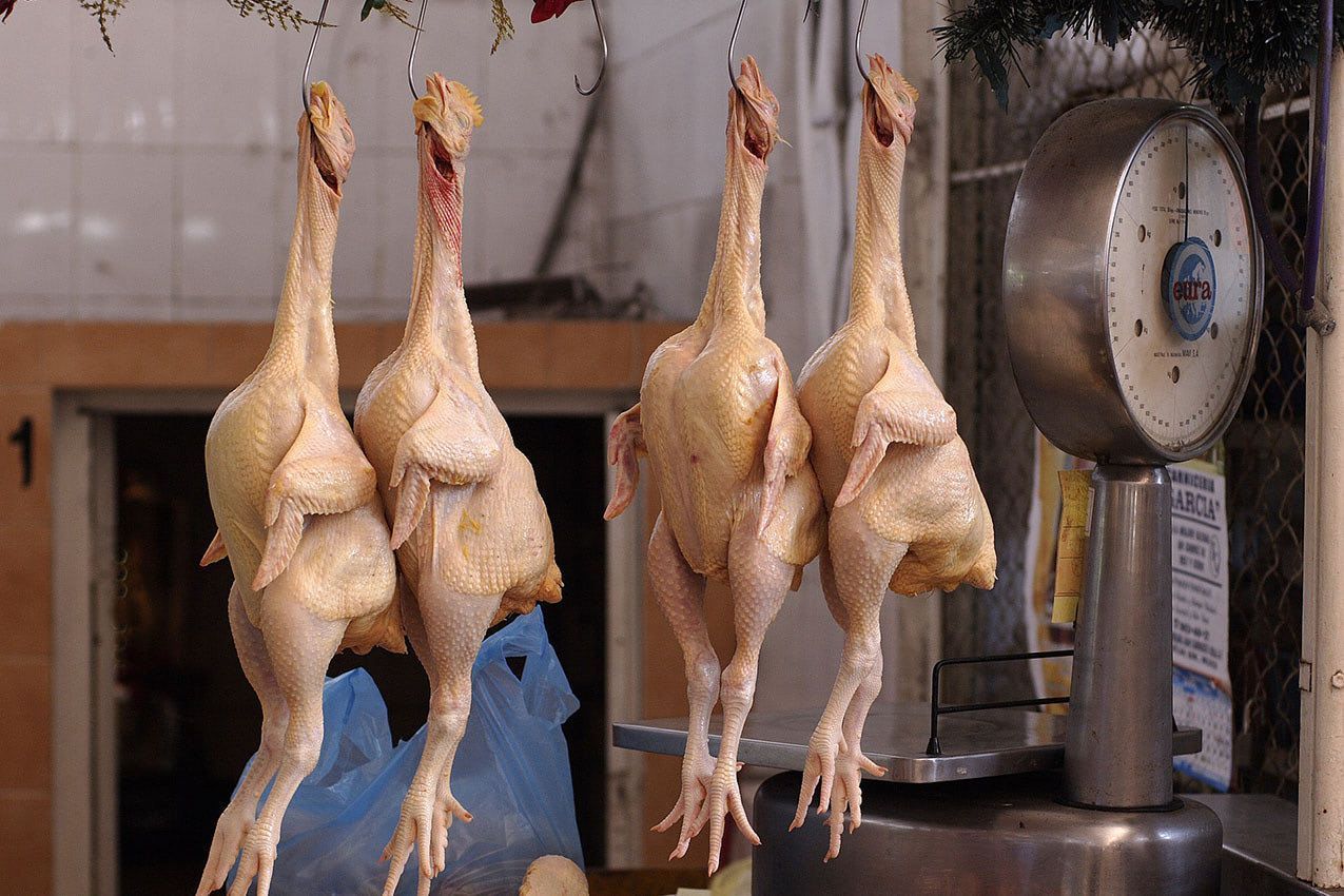 What are Zombie processes and how get rid of them?