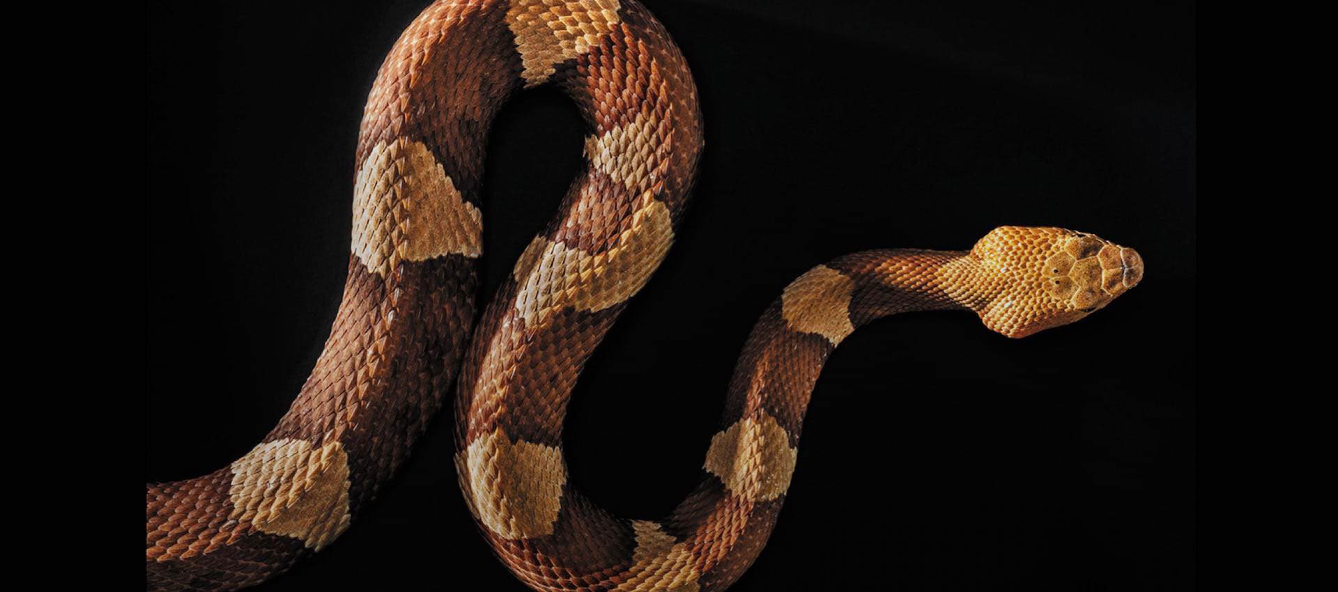 Using the SSH Client Config File ~/.ssh/config.