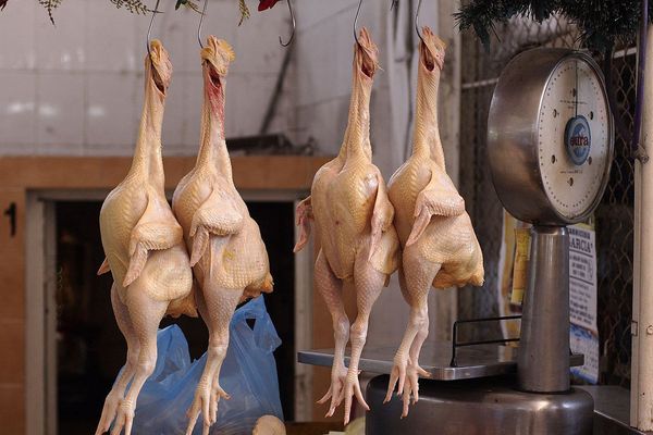 What are Zombie processes and how get rid of them?