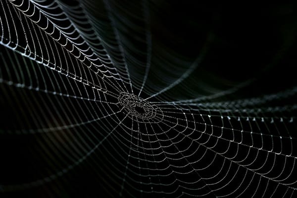 Soft and Hard Links on UN*X Systems.